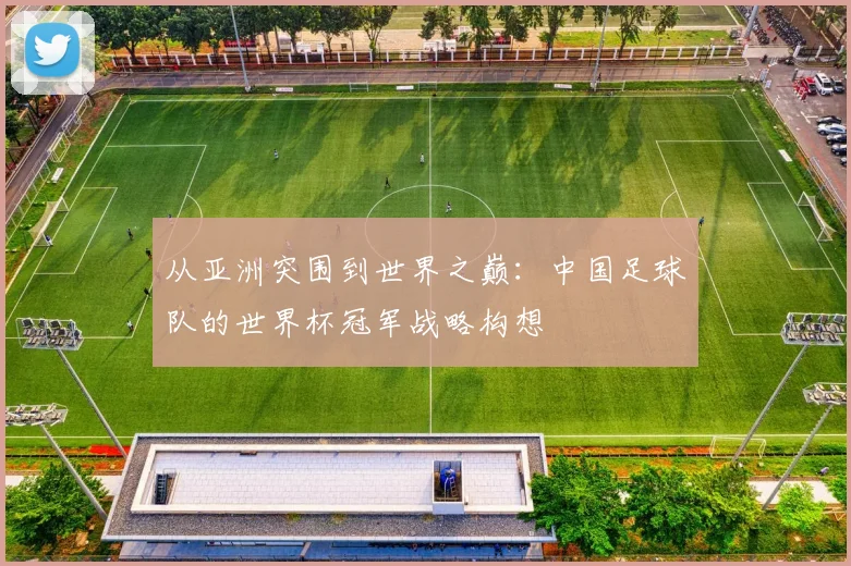 从亚洲突围到世界之巅：中国足球队的世界杯冠军战略构想
