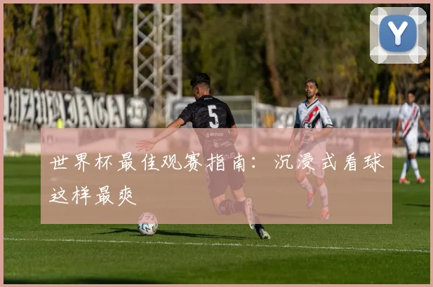 世界杯最佳观赛指南：沉浸式看球这样最爽