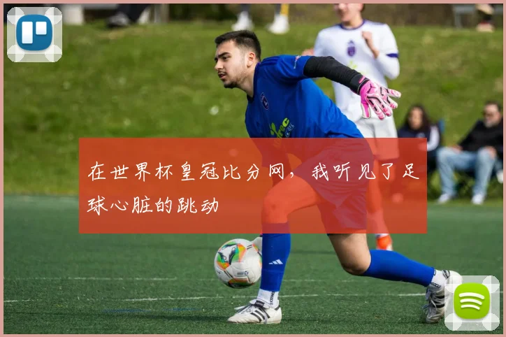在世界杯皇冠比分网，我听见了足球心脏的跳动